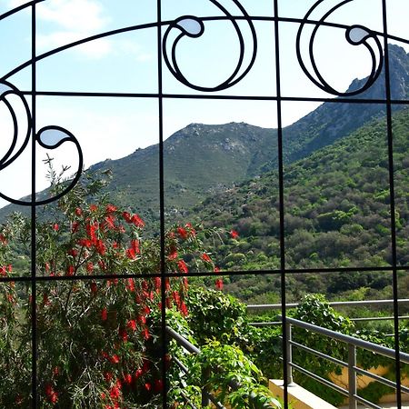 Cas'Anna Lidia - Hotel De Charme Feliceto Εξωτερικό φωτογραφία